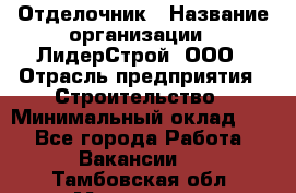 Отделочник › Название организации ­ ЛидерСтрой, ООО › Отрасль предприятия ­ Строительство › Минимальный оклад ­ 1 - Все города Работа » Вакансии   . Тамбовская обл.,Моршанск г.